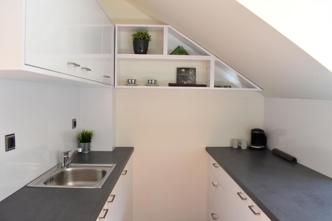 New Central Rooftop With Private Wellness, Sauna & Whirlpool Bath 布拉格 外观 照片
