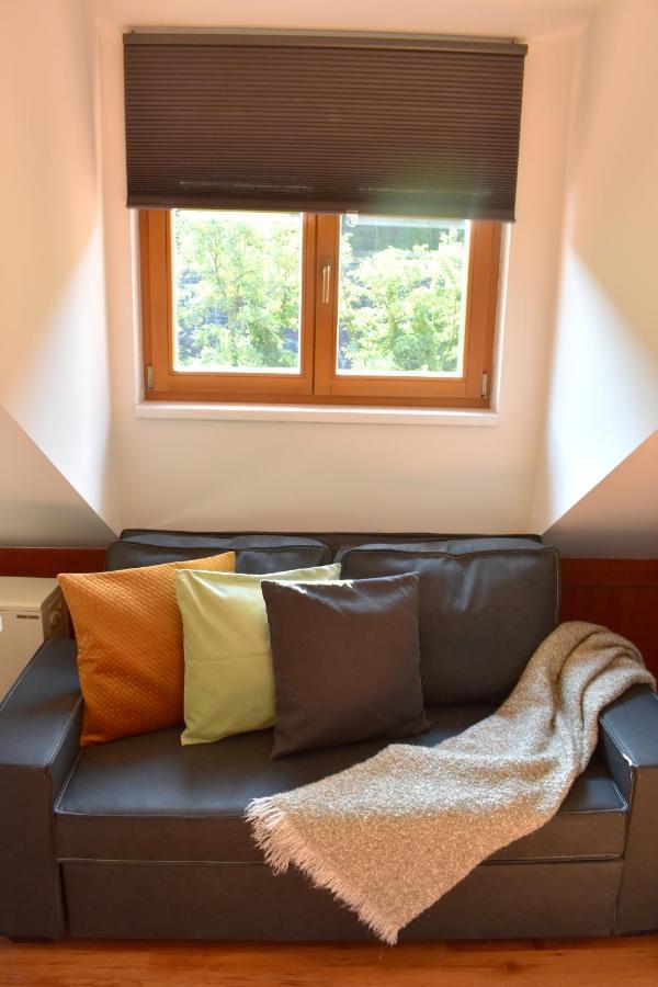 New Central Rooftop With Private Wellness, Sauna & Whirlpool Bath 布拉格 外观 照片